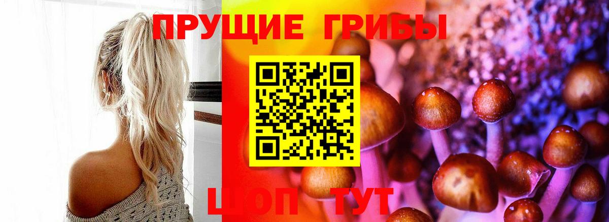 Галлюциногенные грибы Cubensis Малоярославец